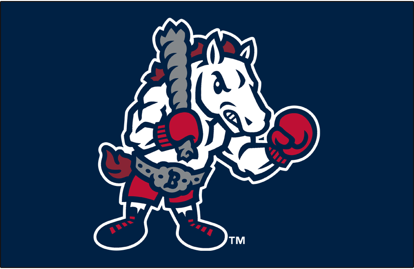 Binghamton Rumble Ponies 2017-Pres Cap Logo iron on heat transfer